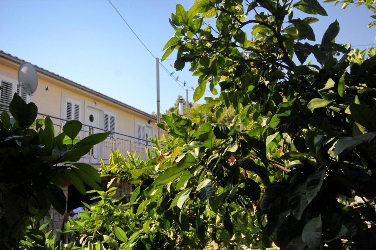 Guesthouse Gradina 로비스테 외부 사진