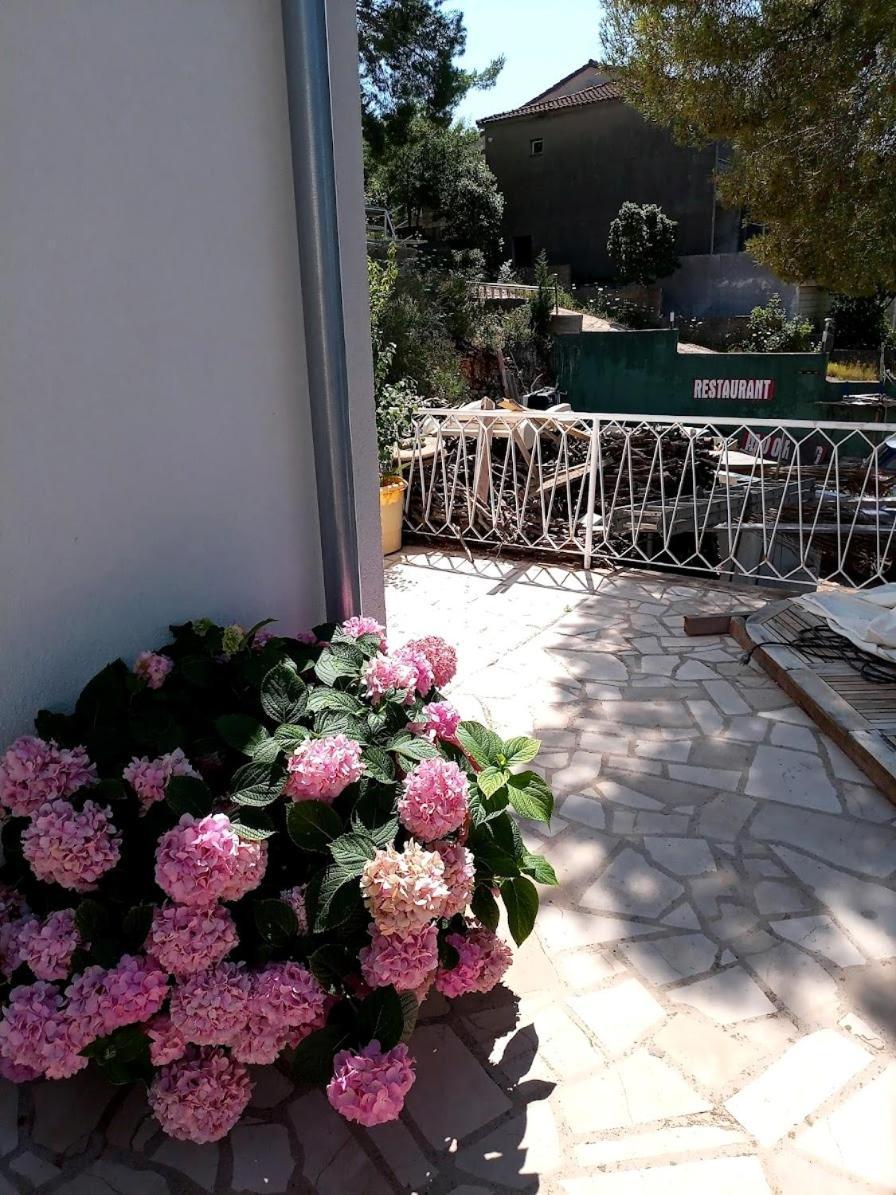 Guesthouse Gradina 로비스테 외부 사진